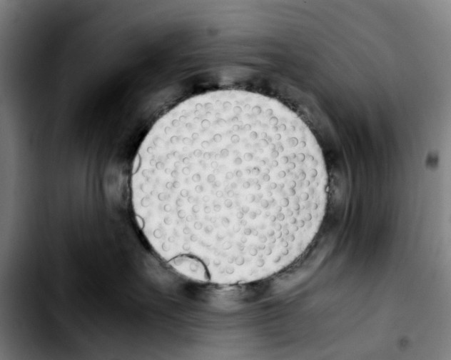 X0000103450527200810241148