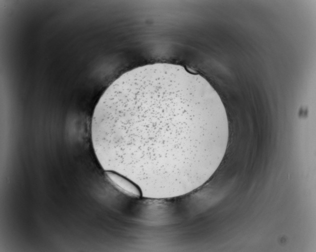 X0000103450528200810241148