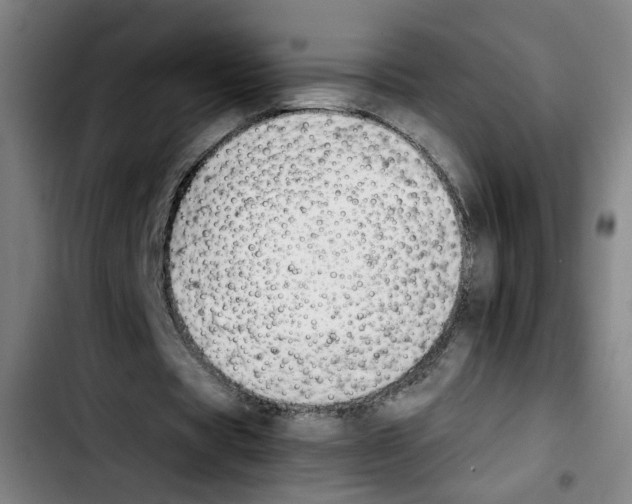 X0000103450529200810241147