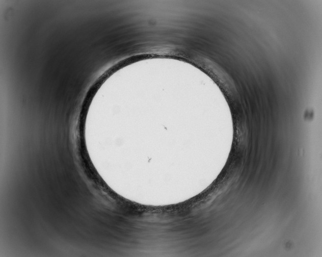 X0000103450532200810241147