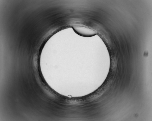 X0000103450533200810241147