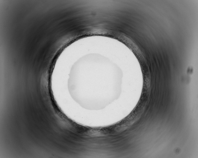 X0000103450534200810241147