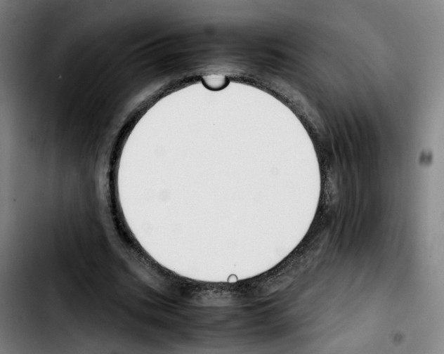 X0000103450535200810241147