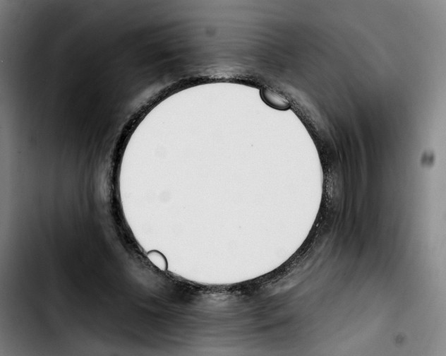 X0000103450540200810241147