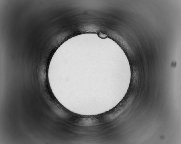 X0000103450541200810241147