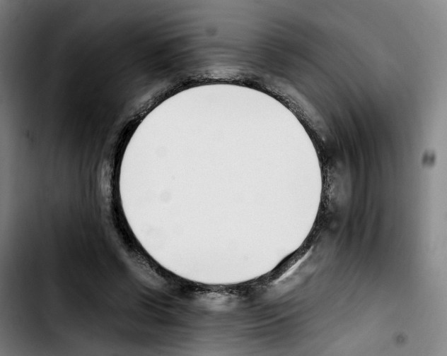 X0000103450542200810241147