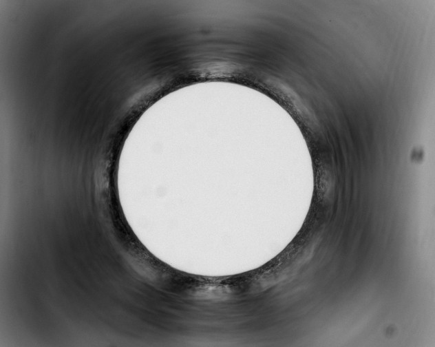 X0000103450543200810241148