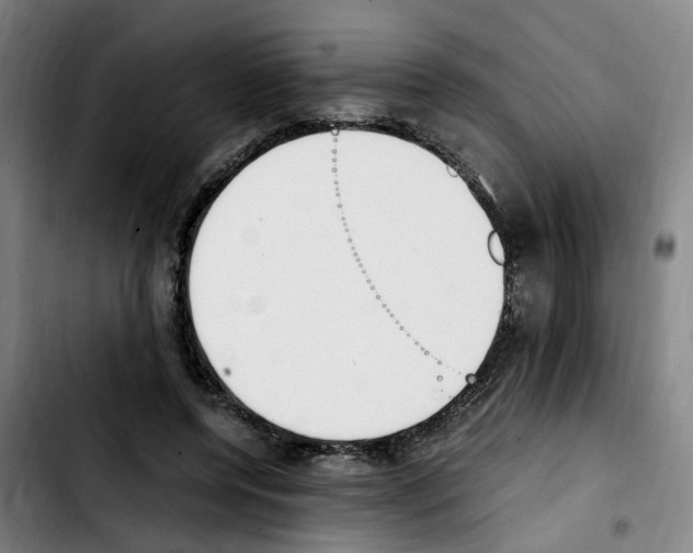 X0000103450544200810241148