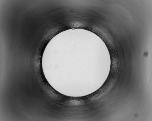 X0000103450545200810241148