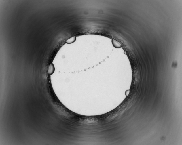 X0000103450546200810241148