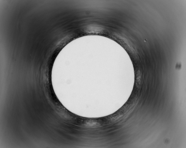 X0000103450547200810241148