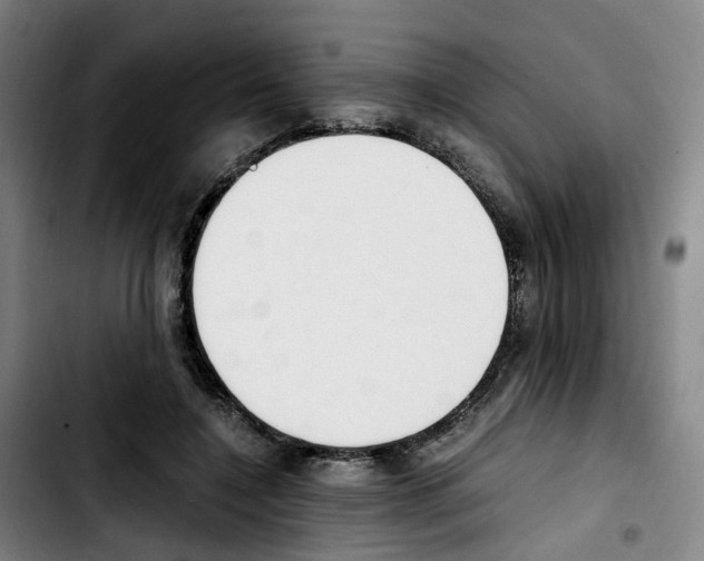 X0000103450548200810241148