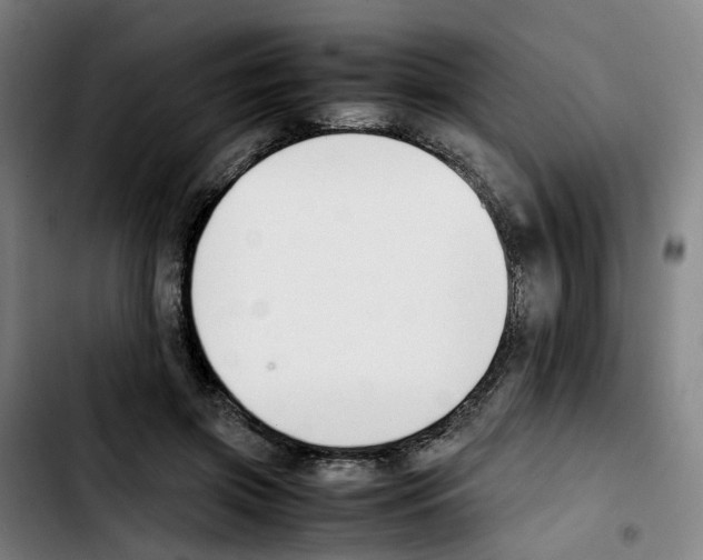 X0000103450549200810241148