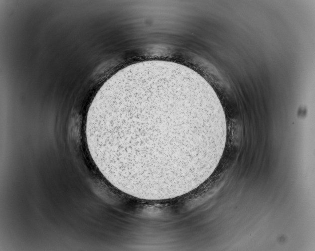 X0000103450550200810241148