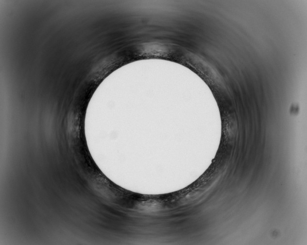 X0000103450551200810241148