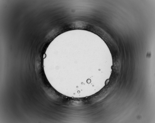 X0000103450552200810241148