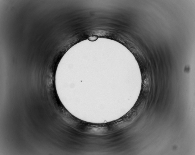 X0000103450555200810241148