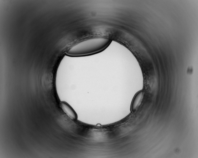 X0000103450556200810241148