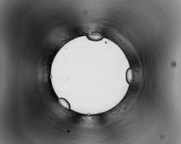 X0000103450558200810241148