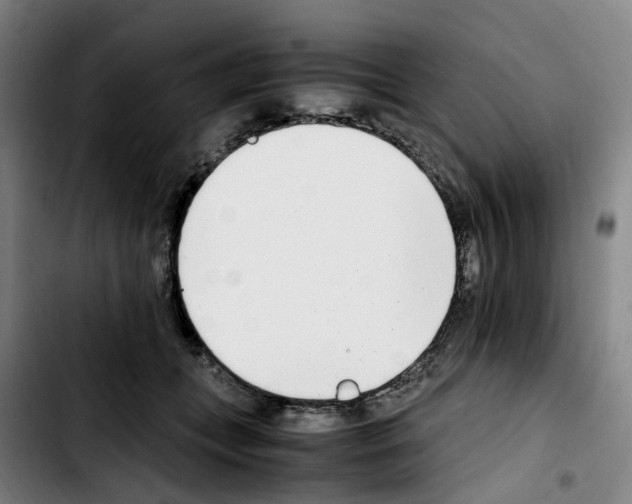 X0000103450559200810241148