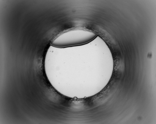 X0000103450560200810241148