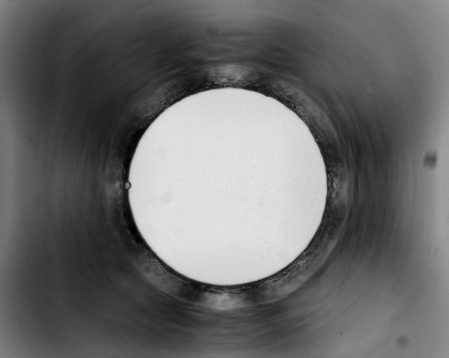 X0000103450561200810241148