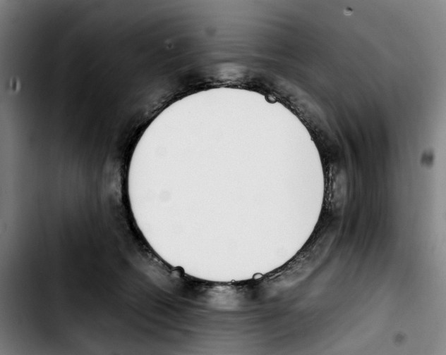 X0000103450562200810241148