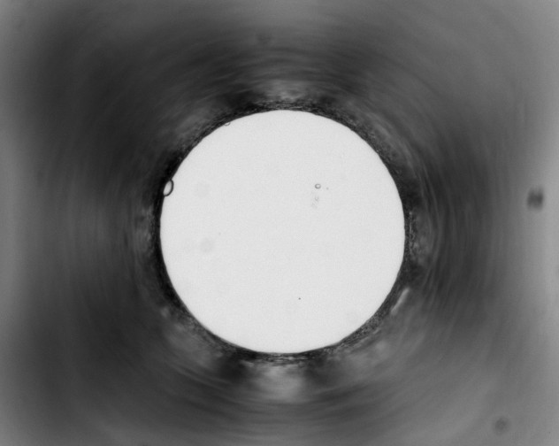 X0000103450563200810241148