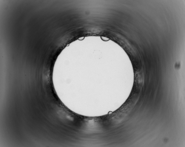 X0000103450564200810241148