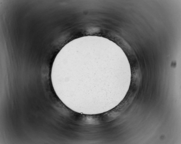 X0000103450565200810241148