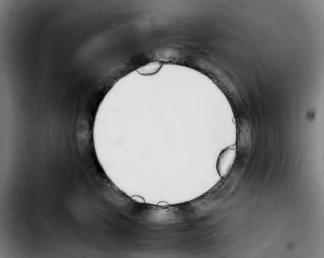 X0000103450569200810241148