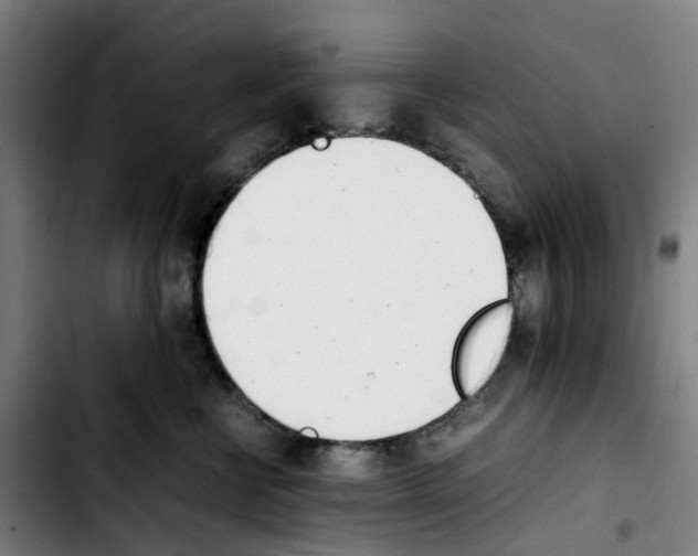 X0000103450570200810241148