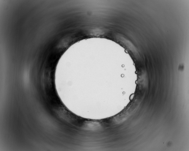 X0000103450572200810241148