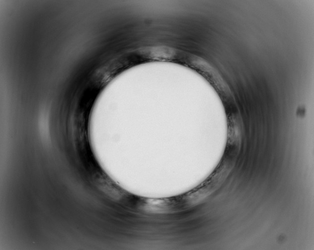 X0000103450573200810241148