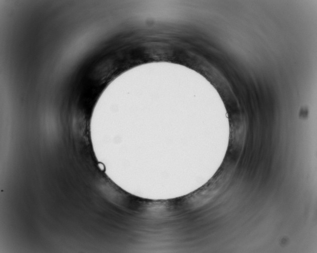 X0000103450574200810241148