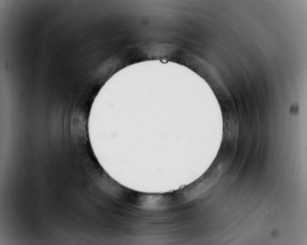 X0000103450575200810241148