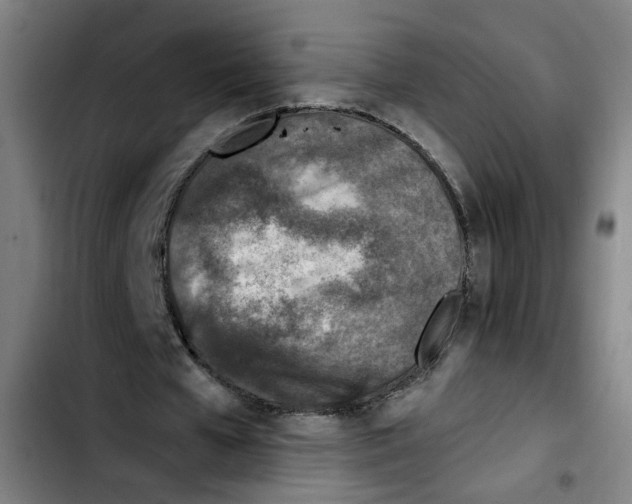 X0000103450577200810241147