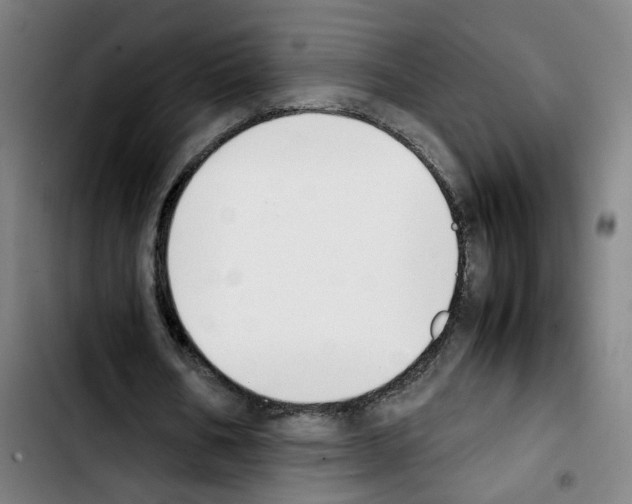 X0000103450578200810241147