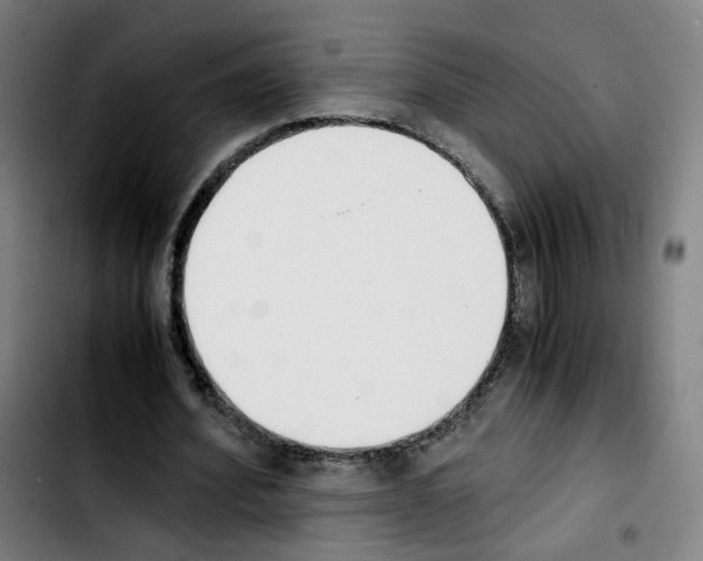 X0000103450580200810241147