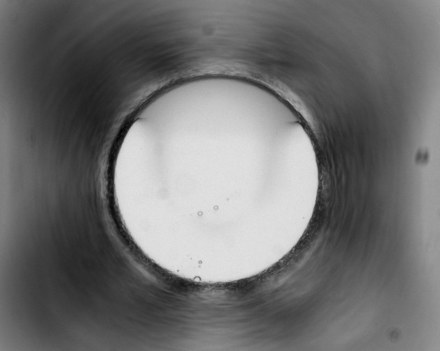 X0000103450581200810241147