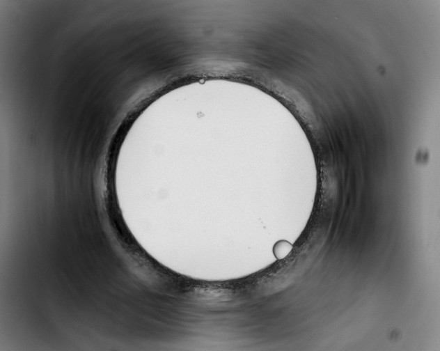 X0000103450582200810241147