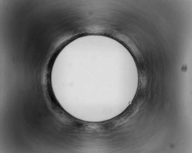 X0000103450583200810241147