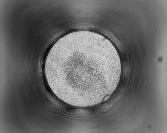 X0000103450585200810241147