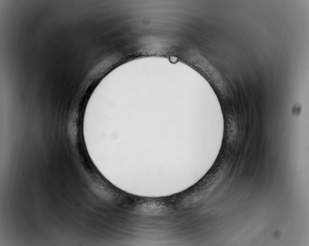 X0000103450586200810241147