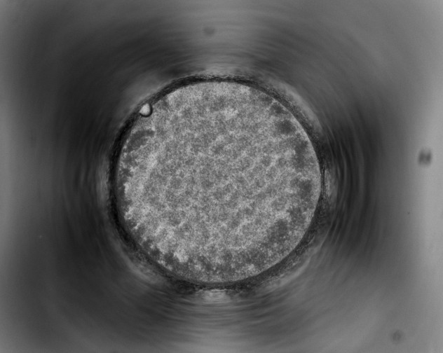 X0000103450588200810241147