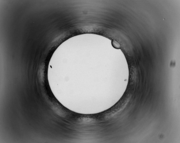 X0000103450590200810241147