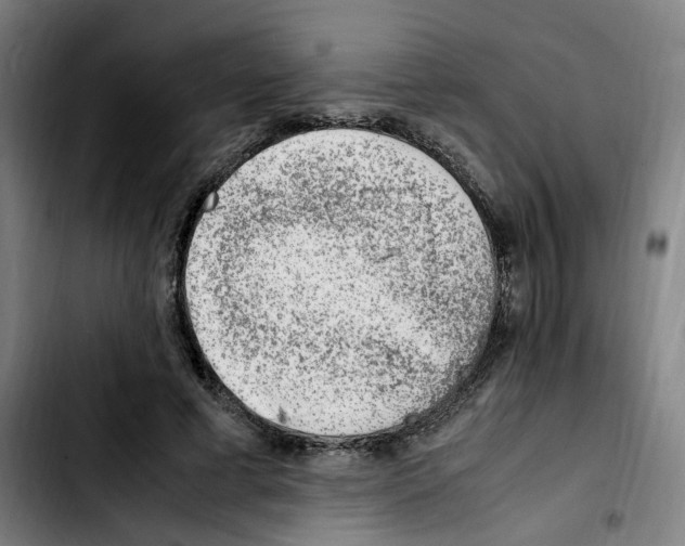 X0000103450593200810241147