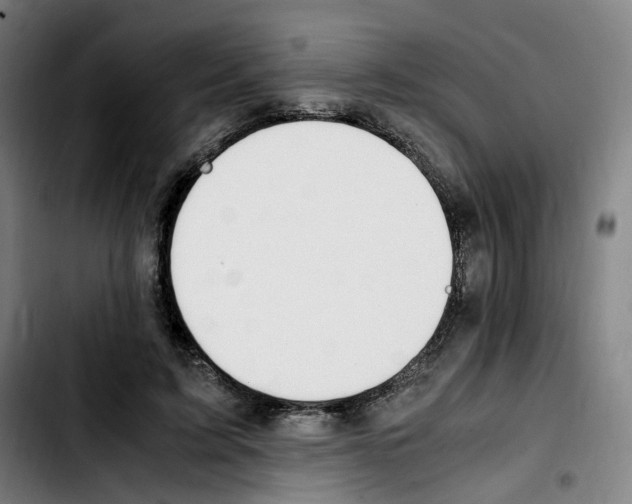 X0000103450595200810241147