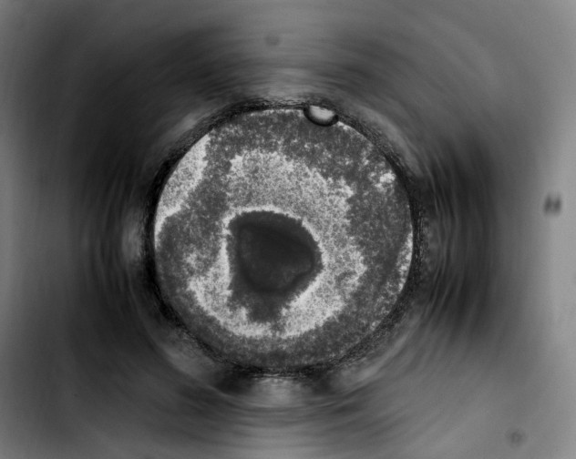 X0000103450596200810241147