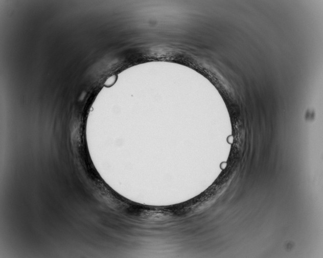 X0000103450597200810241147